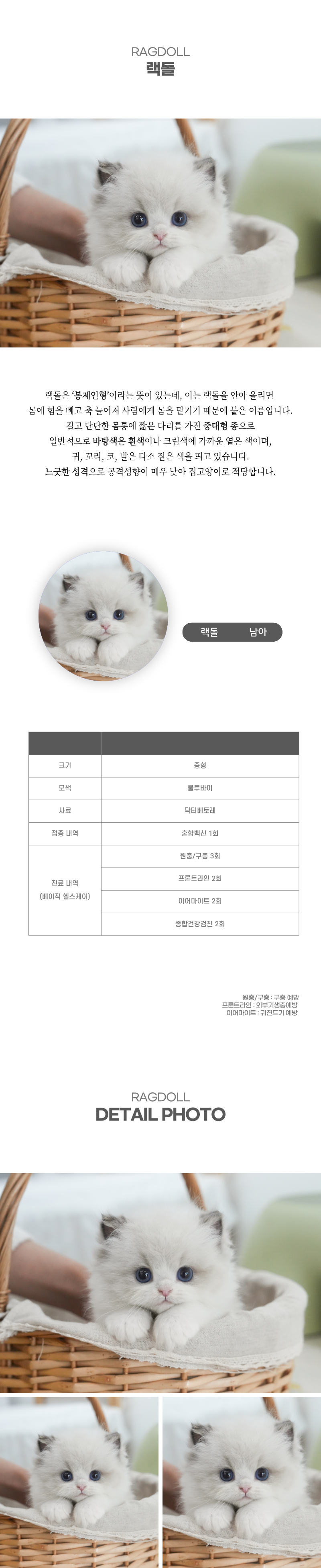 랙돌_상세이미지_2
